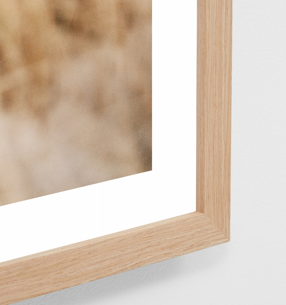 Afternoon Tide Print