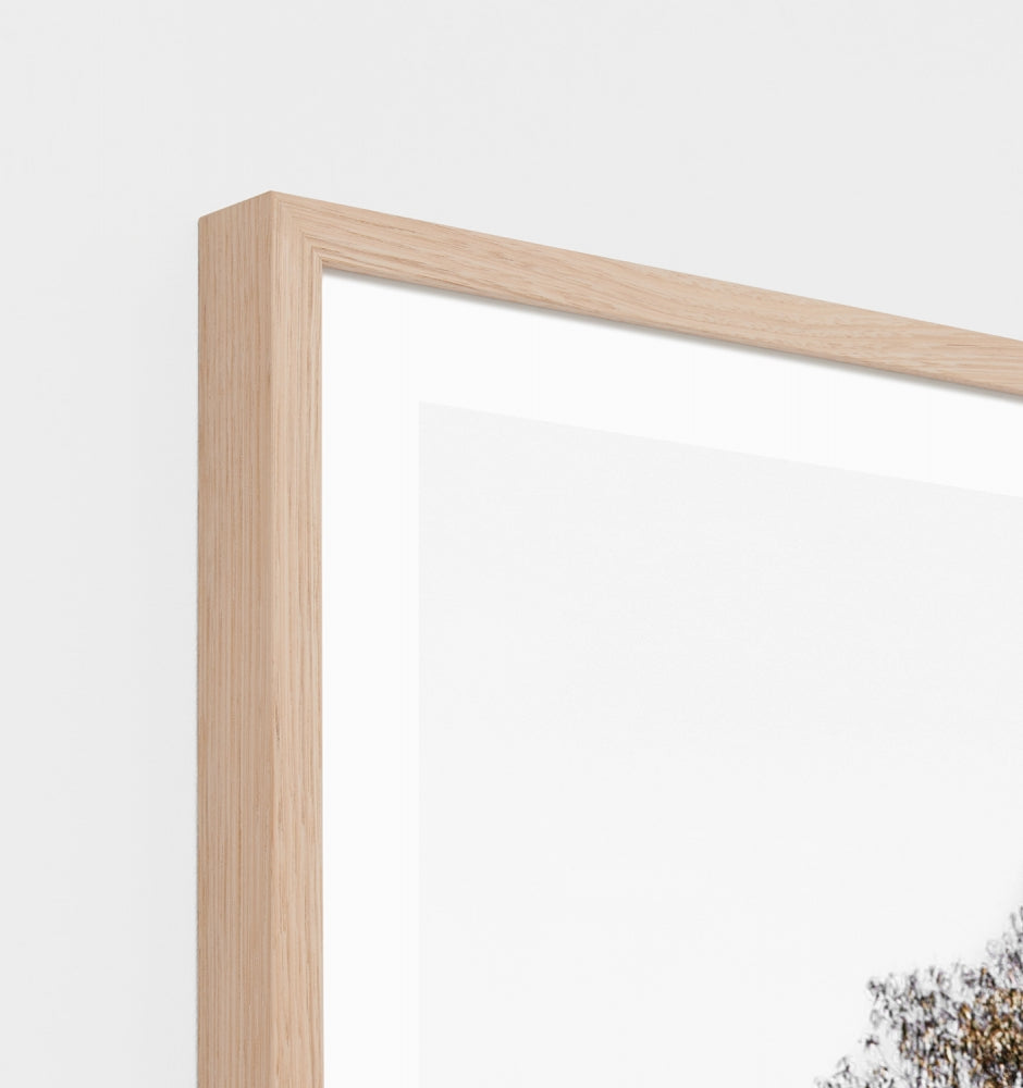 Australian Bush Print