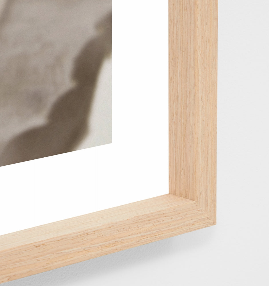 Banksia Bloom 1 Print