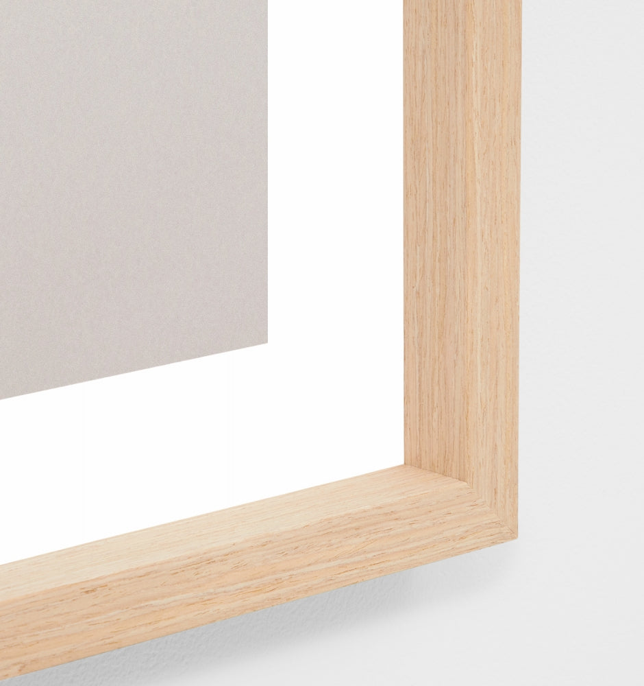 Banksia Bloom 2 Print