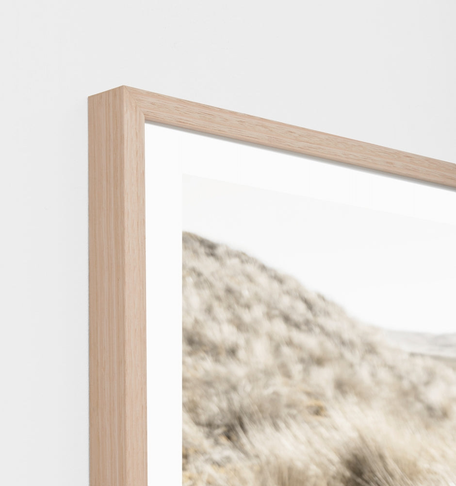 A Beachgrass Meadow Print