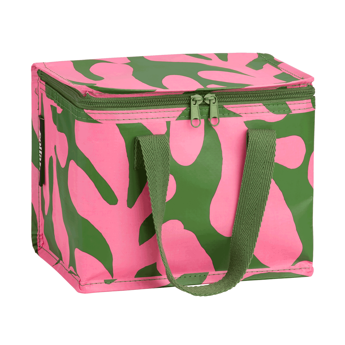 Kollab - Lunch Box Coral Canopy