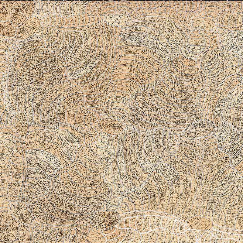 Janganpa Jukurrpa (Brush-tail Possum Dreaming) - Mawurrji II Canvas Art Print