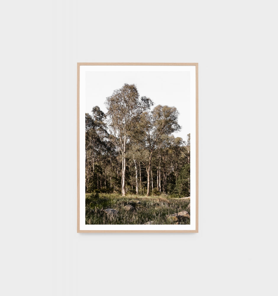 Australian Bush Print – Good Day