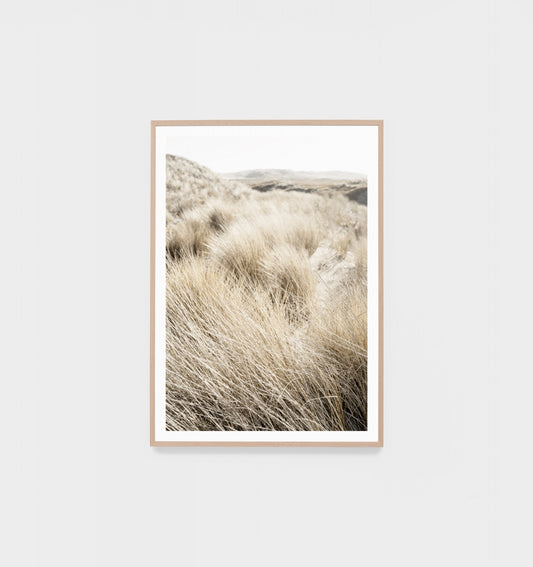 A Beachgrass Meadow Print